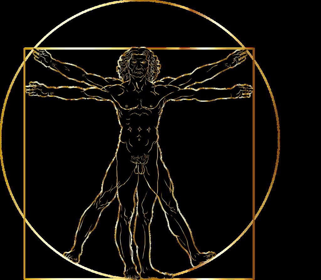 vitruvian man, leonardo da vinci, renaissance